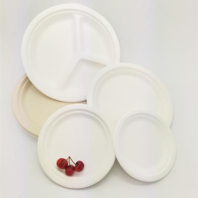 Disposable paper plate tray
